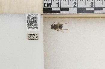 Media type: image;   Entomology 772948 Aspect: Labels
